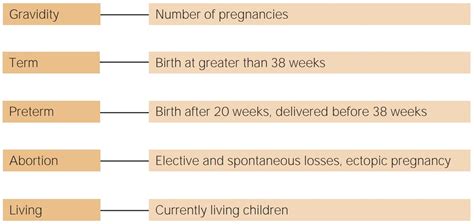 GTPAL: Guide to Gravidity and Parity in Obstetrics .
